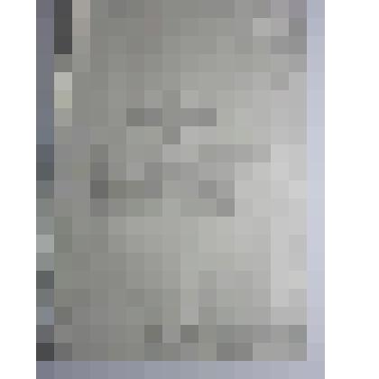 Мавзолей. Усадьба Отрада. 1832-1835 гг.; Усадьба Отрада (Орловых). ХVIII-ХIХ вв. Усадьба Отрада. Мавзолей. Жилярди А. О. Северный фасад (Стереофотограмметрический обмер). "Мособлстройреставрация"