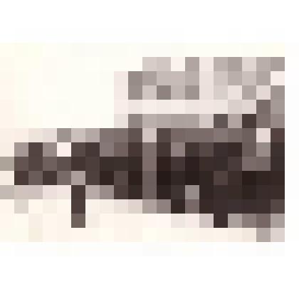 Фотография. Встреча ветеранов 219 ИКСД. Новенская СОШ