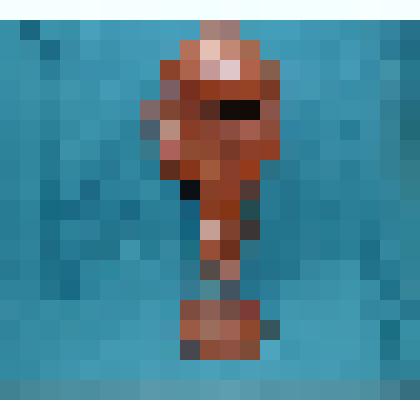 Кубок Первенства России по боксу от судьи международного класса Международной ассоциации бокса АИБА Сергея Костенко, г. Туапсе, 2002 год