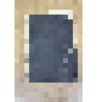 Макаров С.М.  «Грозная туча»