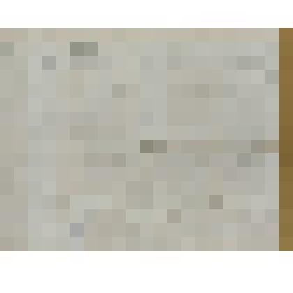 Посемейный список Пименова