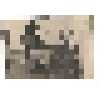 Ф/чб. Поволжская немка-колонистка у прялки с мотовилом. Поволжье. 1920-е. /Экспедиция Г. Дингеса