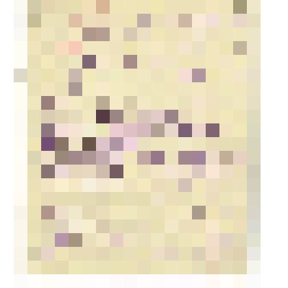 Письмо И. Шестопалова, председателя Субботинского сельсовета, Шушенского района, Н.К. Обухову с воспоминаниями оставшихся в живых партизан, опровергающих ложь Солдатова