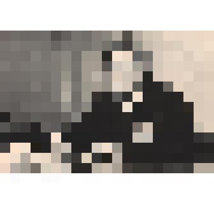 Фото "Федотова Эмилия Петровна – заслуженный зоотехник РСФСР. Председатель Ненецкого с/совета "