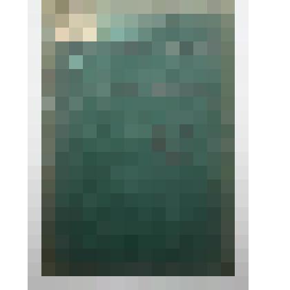 Книга. Насекомые, вредные для сада и огорода в средней и северной России, издание 3-е.  Типография товарищества "Общественная польза"