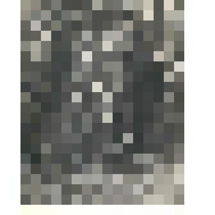 фотография. Чижиков Н.В. и Дорош Е.Я