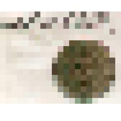 Монета. СССР