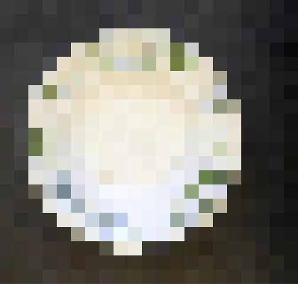 Тарелка глубокая обеденная