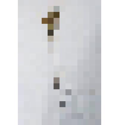 Гербарий
Мелколистник (кападений) Мелколепе́стник кана́дский, или кони́за кана́дская