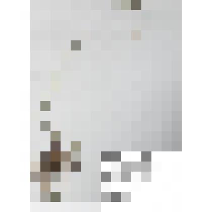 Гербарий
Ячмень короткоостистый,   или Критезион короткоостистый, или Ячмень тощий