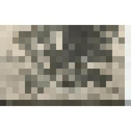 Открытка. Л.Н.Толстой верхом.Репродукция с фотографии В.Г.Черткова 1908г