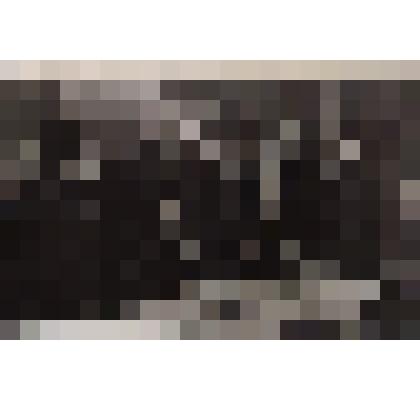 Групповое фото. Юлий Ганф в группе "правдистов" в редакции