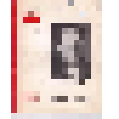 Брошюра. Портрет огнем. Рассказы