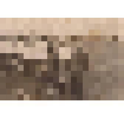 фото черно-белое. групповое, футбольная команда п. Пижанка