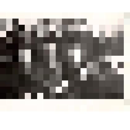 Фотография черно-белая