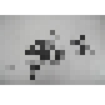 Фотография. "Все дело - в сапогах"