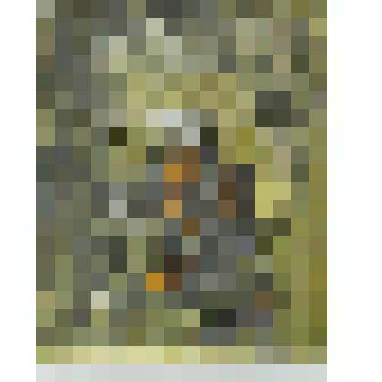 Богоматерь Одигитрия