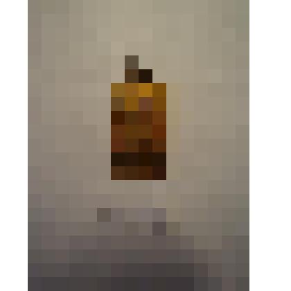 Жетон с изображением Л.Н.Толстого