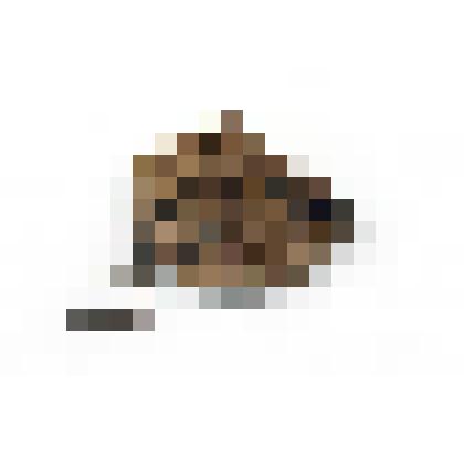 Сумка для денег