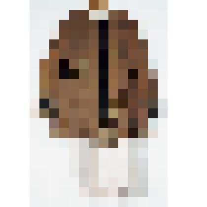 Жупан - корсетка