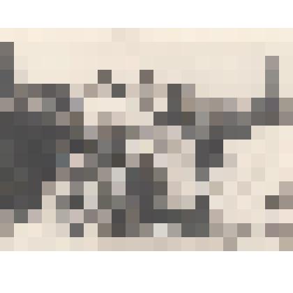 Фотография. Кассиль Л.А., Собинова С.Л., неизвестные мужчины и женщины