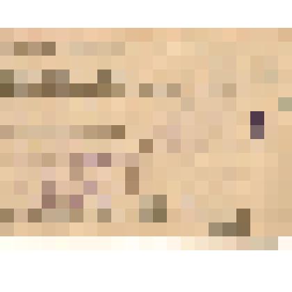 Красноармейская книжка Жондарева П.П