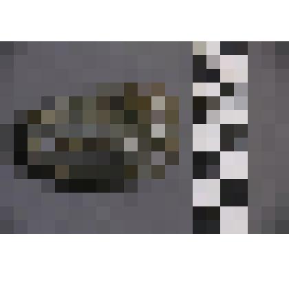 коллекция В.Ф. Лагодича. Талисман каменный выполненный в виде головы человека. Камень коричневого цвета с прожилками серого