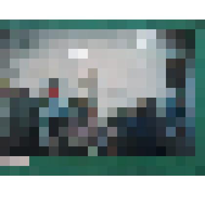 Фотография. Республиканский конкурс "Юннат-2003"