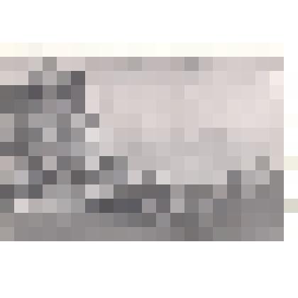 Фотография: усадьба купца Зорина по улице Главной с.Камень Барнаульского уезда Томской губернии. Копия