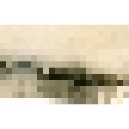 Групповой снимок. Карательный отряд Августовского. 1906 год