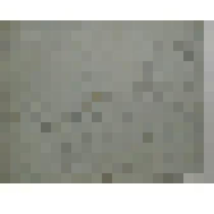 Кони на водопое. Коллекция И.С. Зильберштейна, набросок композиции