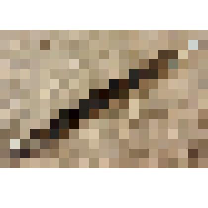 Циркуль круговой Давыдова Л.Н. из коллекции материалов Давыдова Леонида Николаевича, старшего инженера Саратовского областного радиотелевизионного передающего центра, и его жены Давыдовой Натальи Андреевны, старшего инженера передвижной телестанции (ПТС)