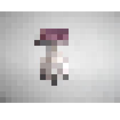 Медаль ВДНХ «За успехи в народном хозяйстве»