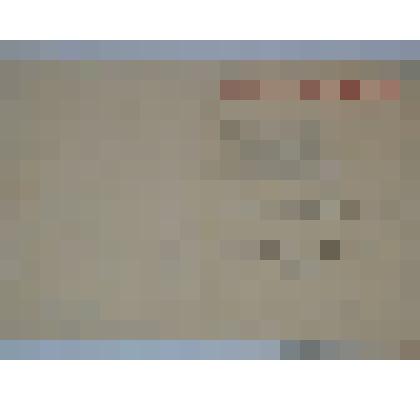 Свидетельство  «Выставка достижений народного хозяйства СССР»  Куркина Д.Г