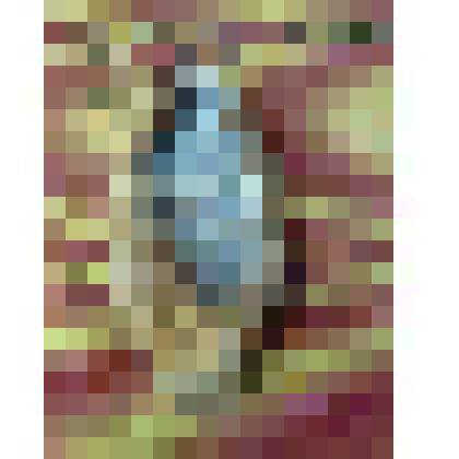 Моршни- летняя обувь