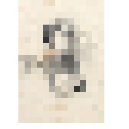 Женский портрет. Конец 1890-х