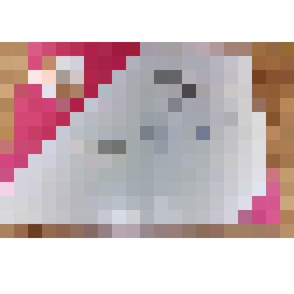 Почетная грамота Лабинского городского отдела народного образования награждается учащийся 9 класса школы № 5 Киселев В. занявший е место в городской олимпиаде по химии