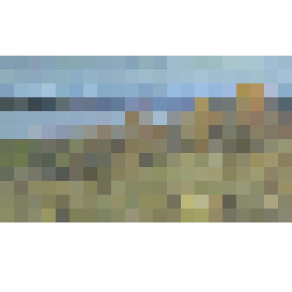 Картина. Осень