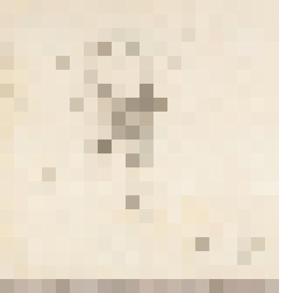 Карикатура, из альбома  «190 пейзажей; зарисовки, иллюстрации, карикатуры»