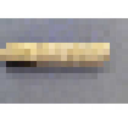 Ростр белемнита