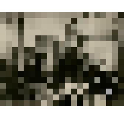 Фотография из фотоальбома. Соврудники 1927-1929гг. - тайга, рабочие, драги