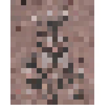 Серия  «Лица - 3». Лист 9