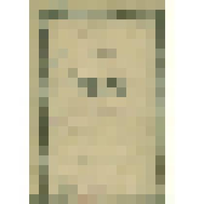 Документы периода становления Сольвычегодского музея