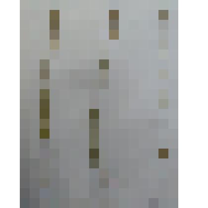 Истод гибридный