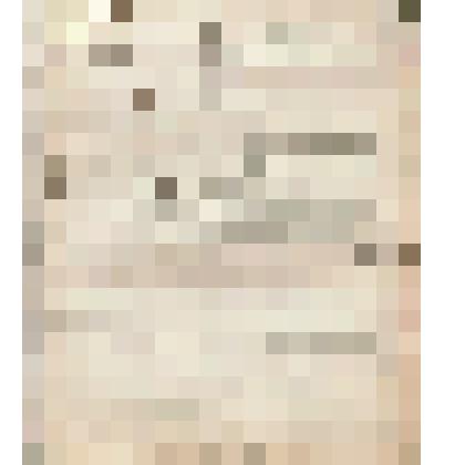 Телеграмма № 385 в г. Ирбит В.Н.Алину от Потникова из г. Набережные Челны, 17.02.1910 г