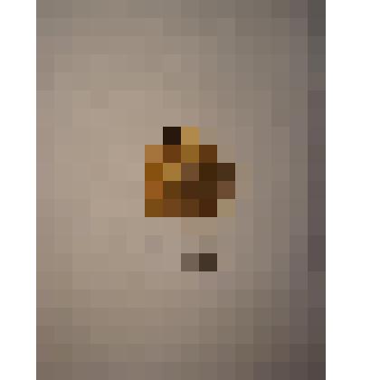 Жетон с изображением Л.Н.Толстого