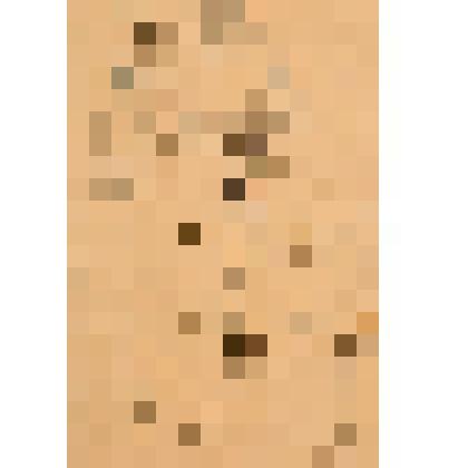 Набросок «Тамрико»