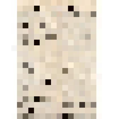 Правила составления и предоставления документов при покупке крестьянами земель при содействии Крестьянского Поземельного банка