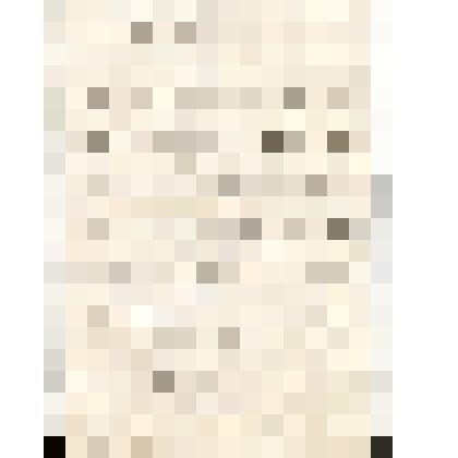 Письмо Хмара Людмилы Дмитриевны директору Энгельсского краеведческого музея  Борисову С.В. с сообщением о предстоящем ее визите в г. Энгельс. Крым. Судак. 01.05.1981 г