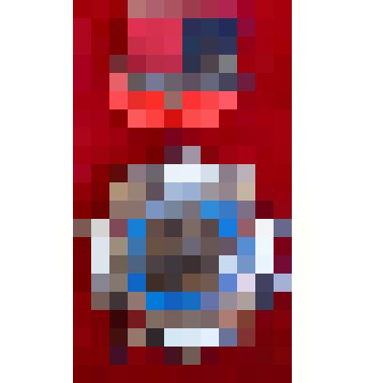 Памятный нагрудный знак «ЗА МУЖЕСТВО И ЛЮБОВЬ К ОТЕЧЕСТВУ 1941-1945»